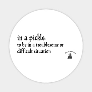 In a pickle Magnet